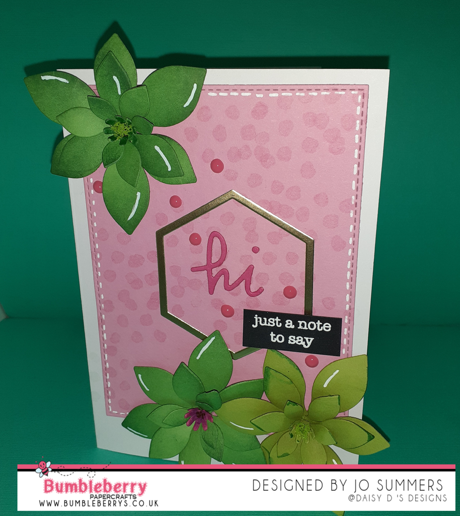 Créer des plantes succulentes tendance, à partir de matrices de fleurs.