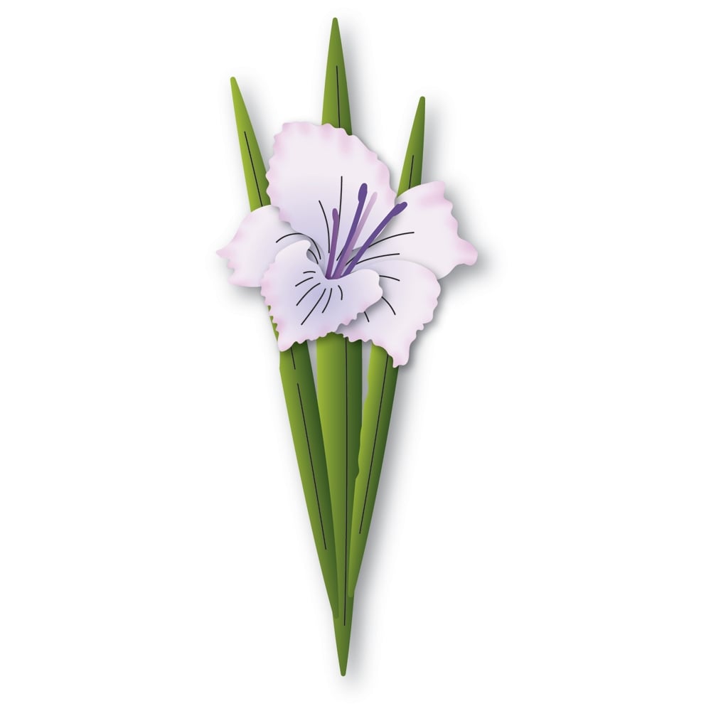 Gladiola Blossom and Leaves