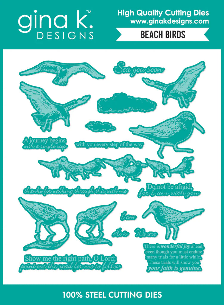 Beach Birds Die