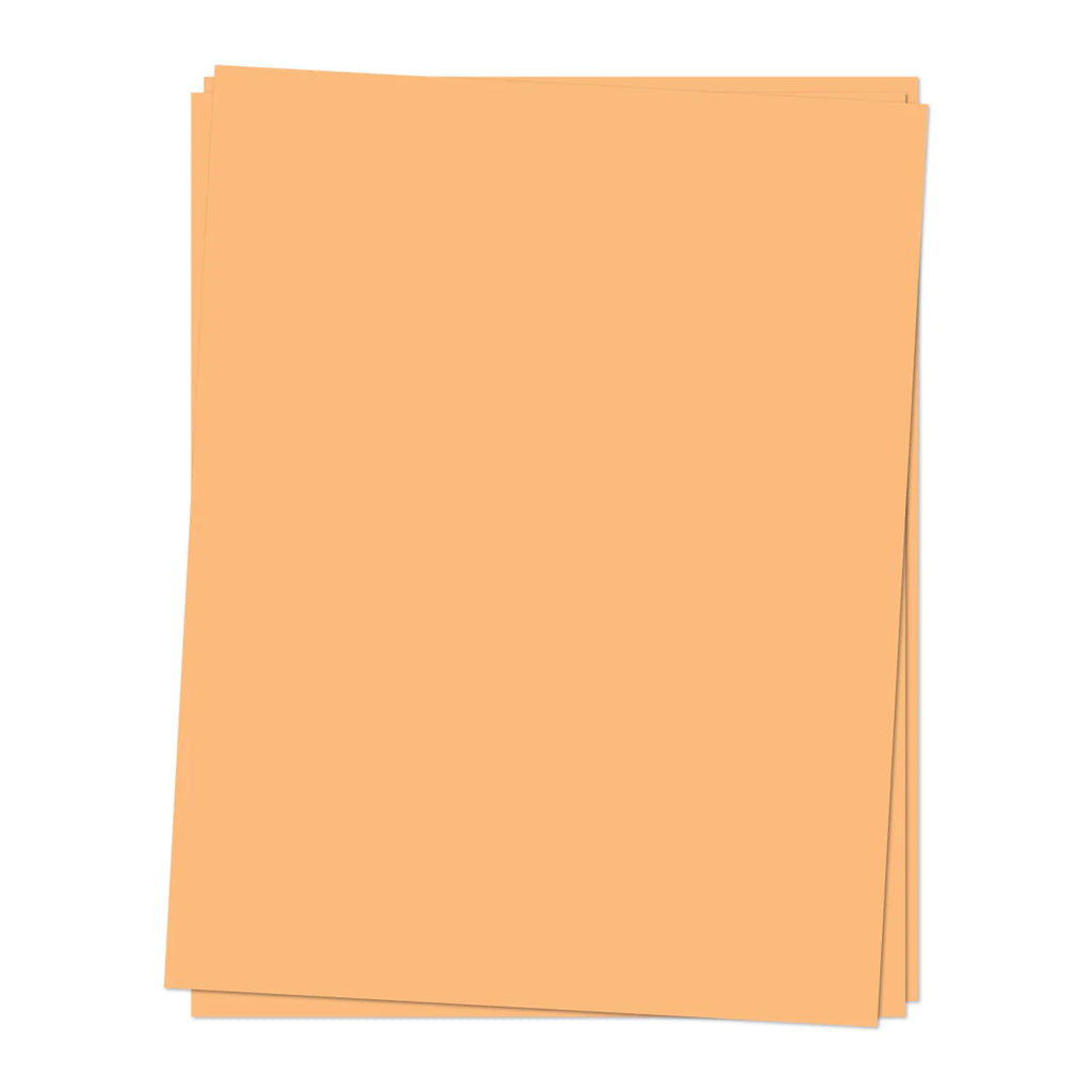 CARDSTOCK: Creamsicle