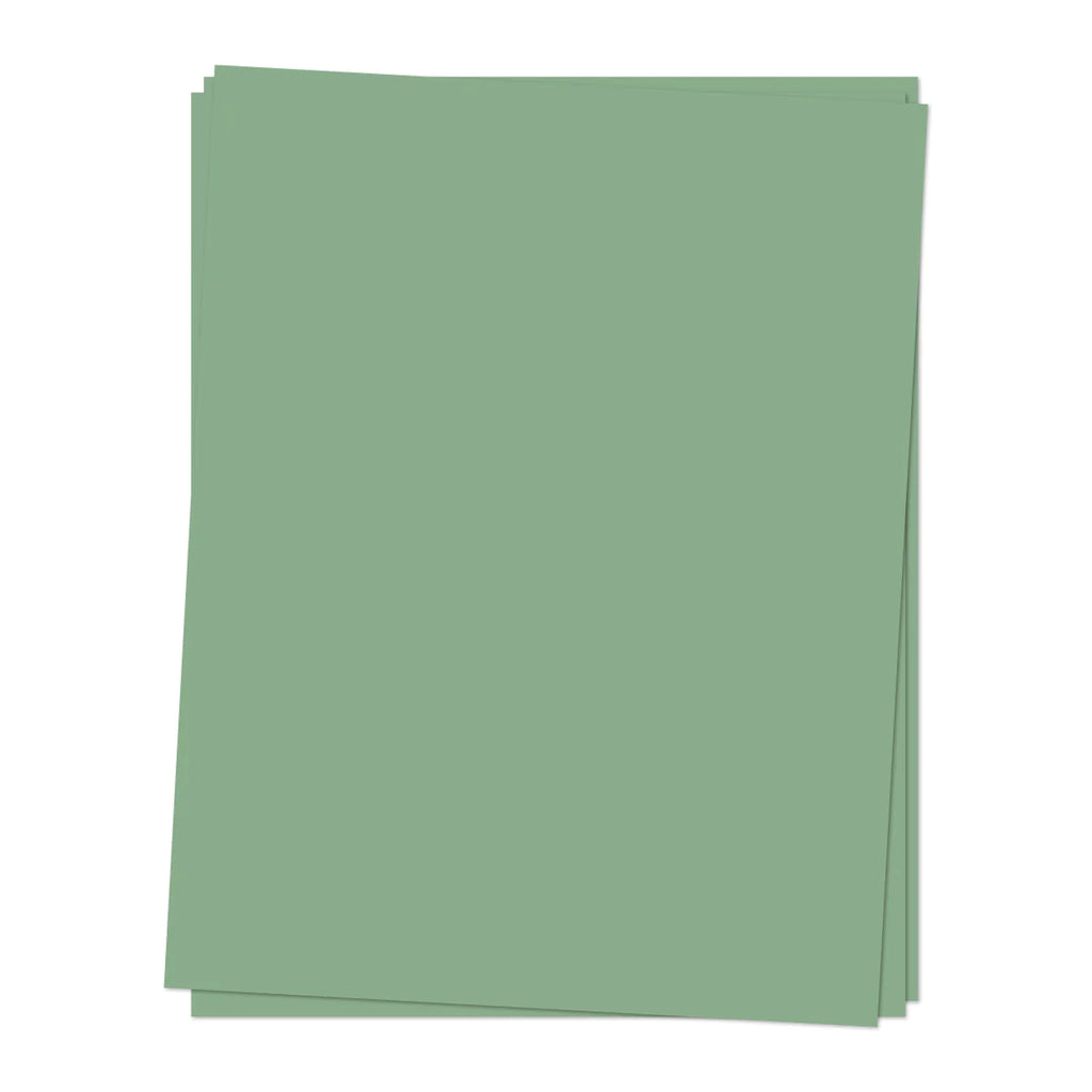 CARDSTOCK: Eucalyptus