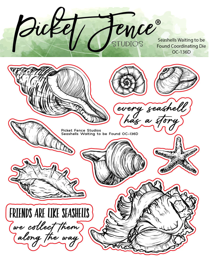 Seashells Waiting to be Found Coordinating Die*