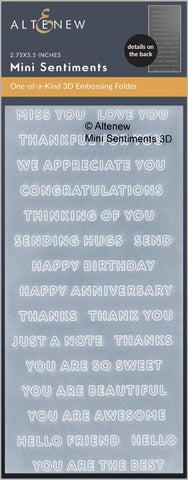 Mini Sentiments 3D Embossing folder
