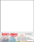 Papier cartonné blanc Artist's Choice, 110 lb