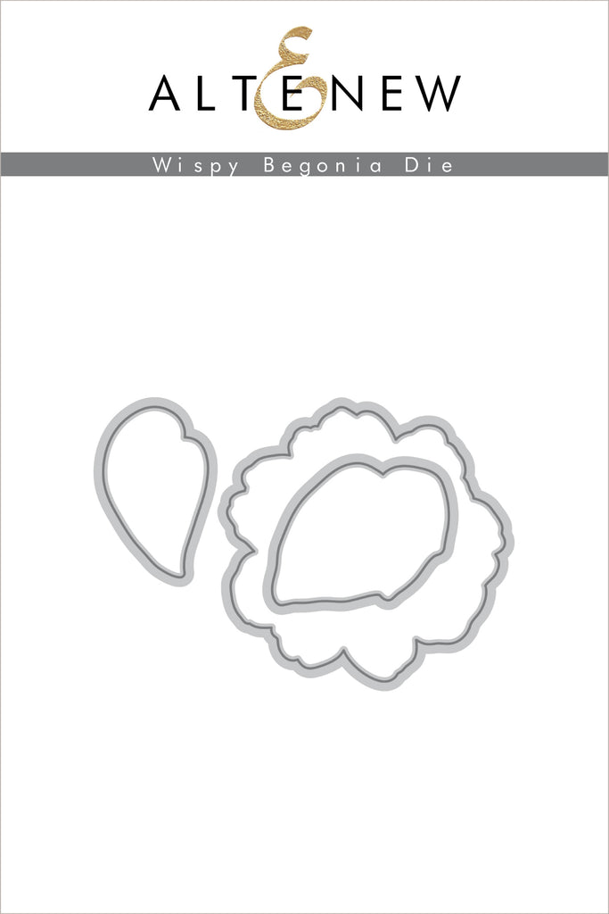 Ensemble de matrices Wispy Begonia