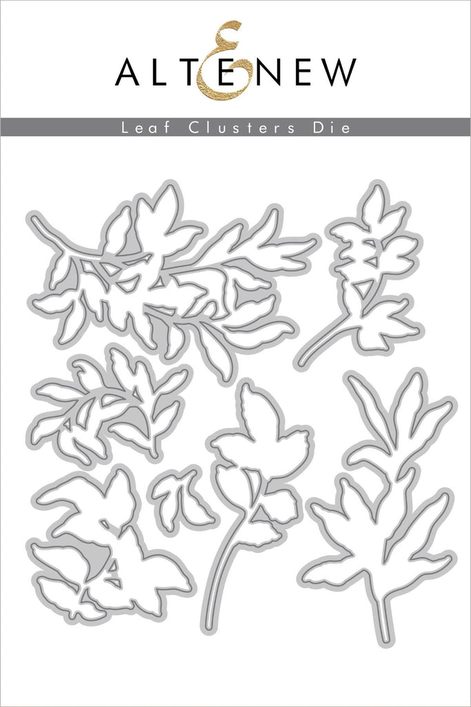 Ensemble de matrices de grappes de feuilles