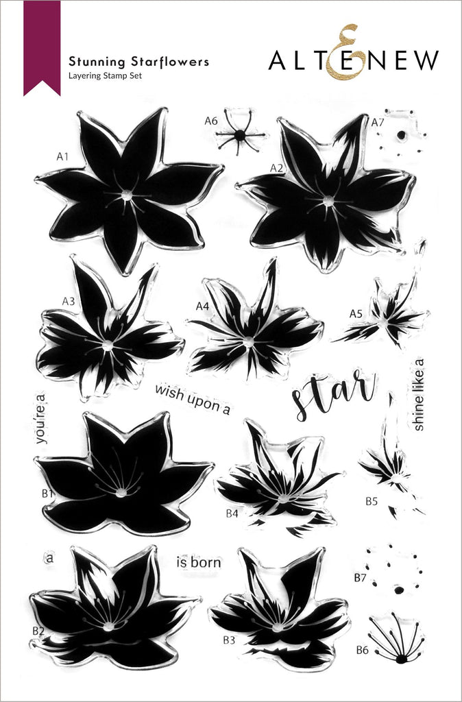 Superbe ensemble de tampons Starflowers