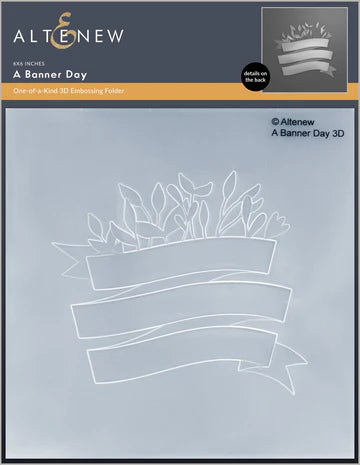 A Banner Day 3D Embossing Folder