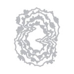 Matrices de l'infini des nuages étoilés