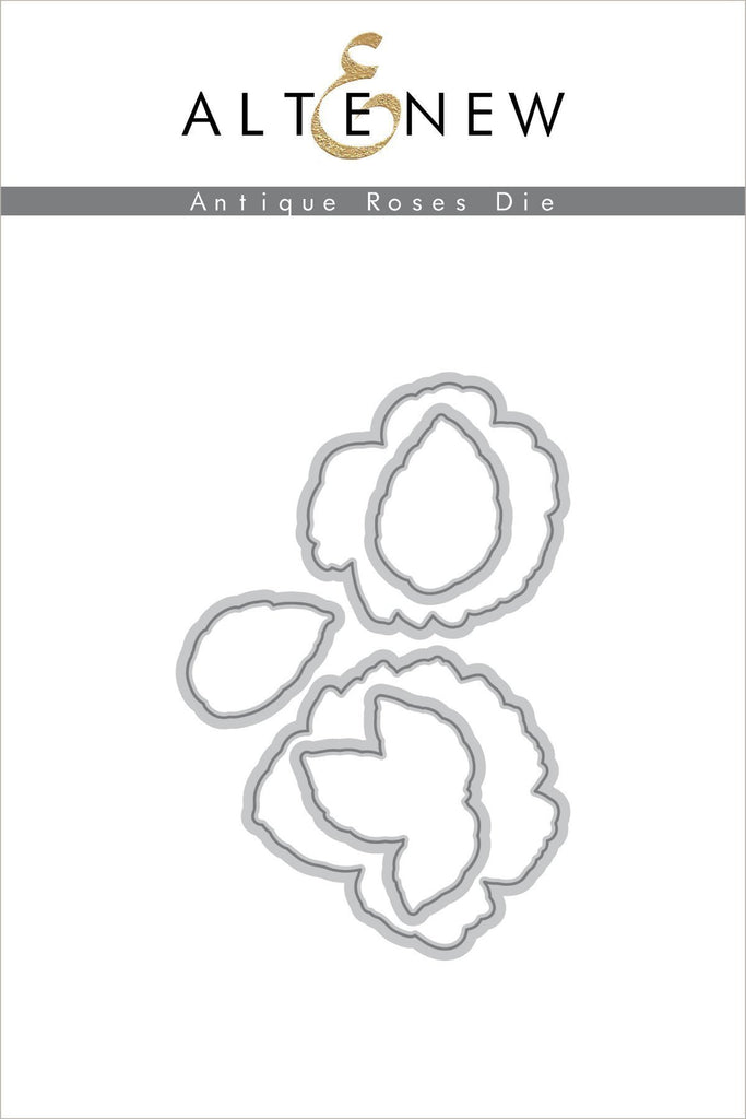 Ensemble de matrices de roses antiques