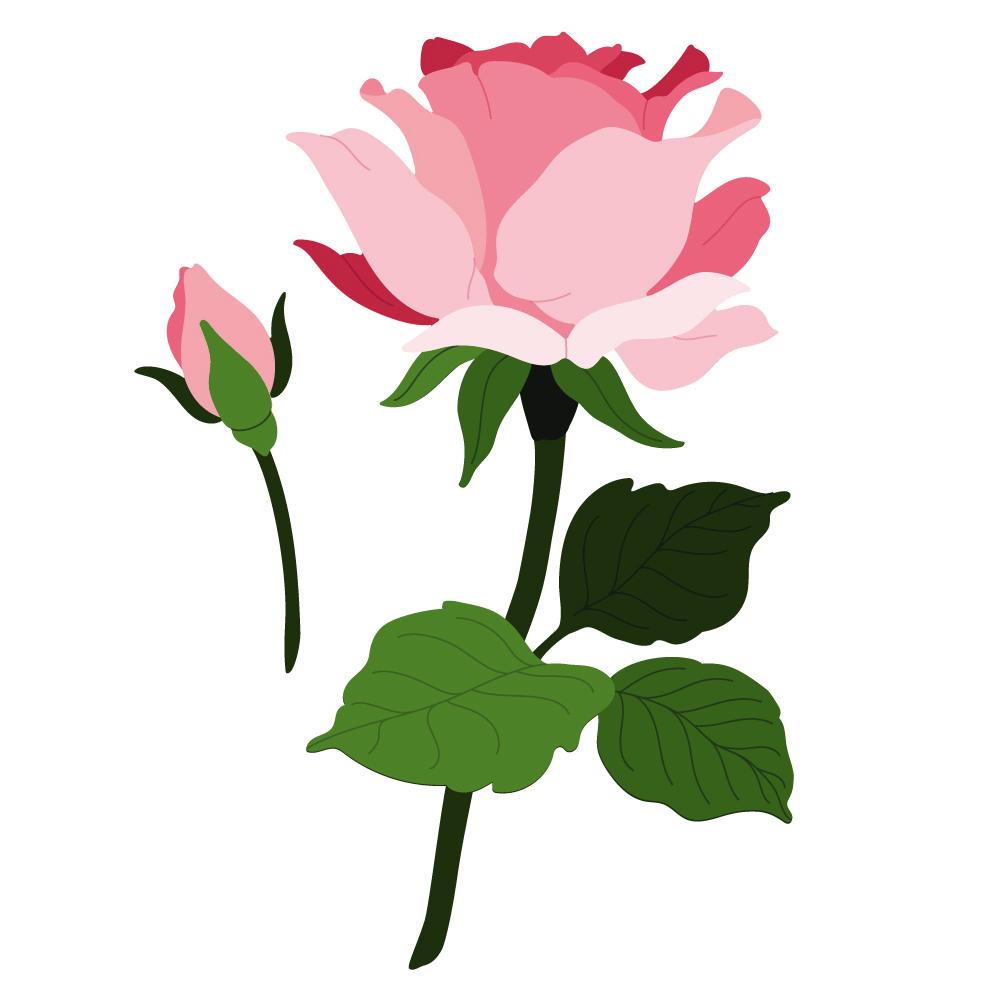 Lovely Layers: Roses | Honey Cuts