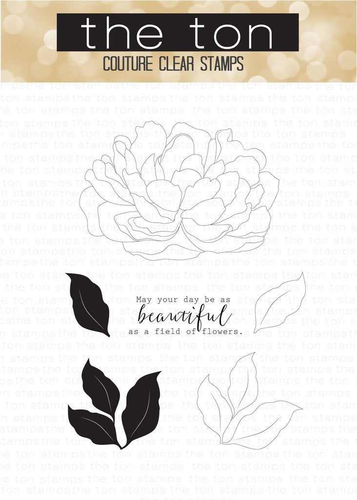 Grande pivoine 4