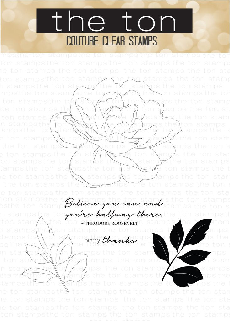 Grande pivoine 5