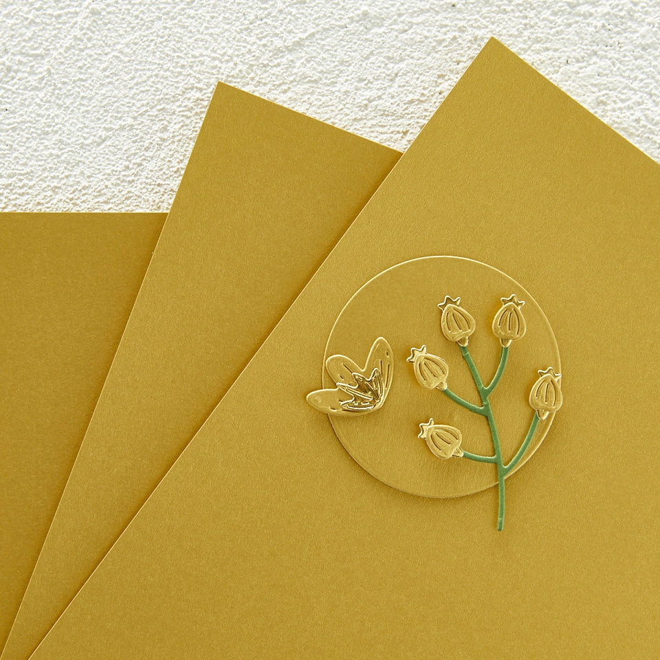 Papier cartonné doré brossé