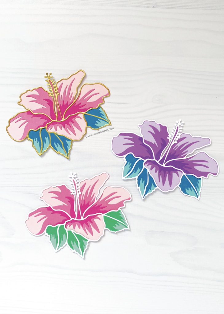 Jolies matrices de superposition d'hibiscus