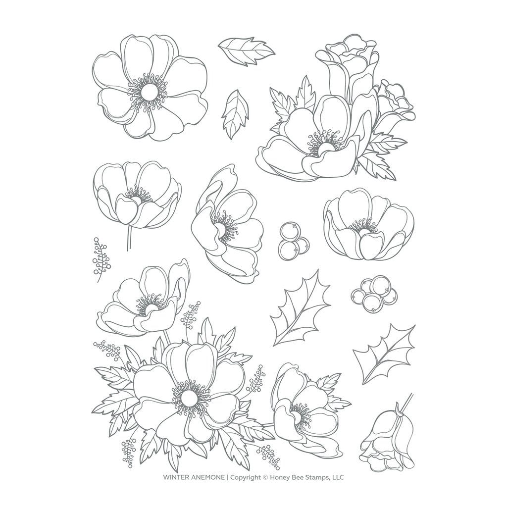 Winter Anemone 6x8 Stamp Set