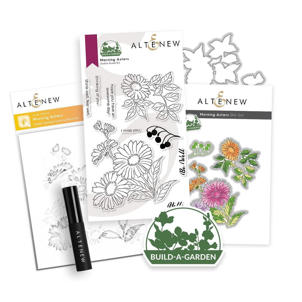 Construire un jardin : asters du matin