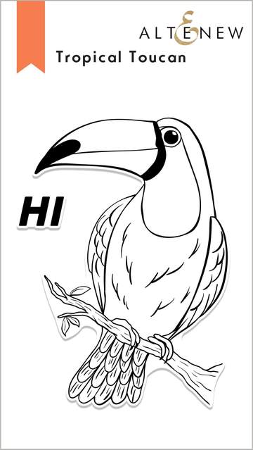 Set de tampons toucan tropical