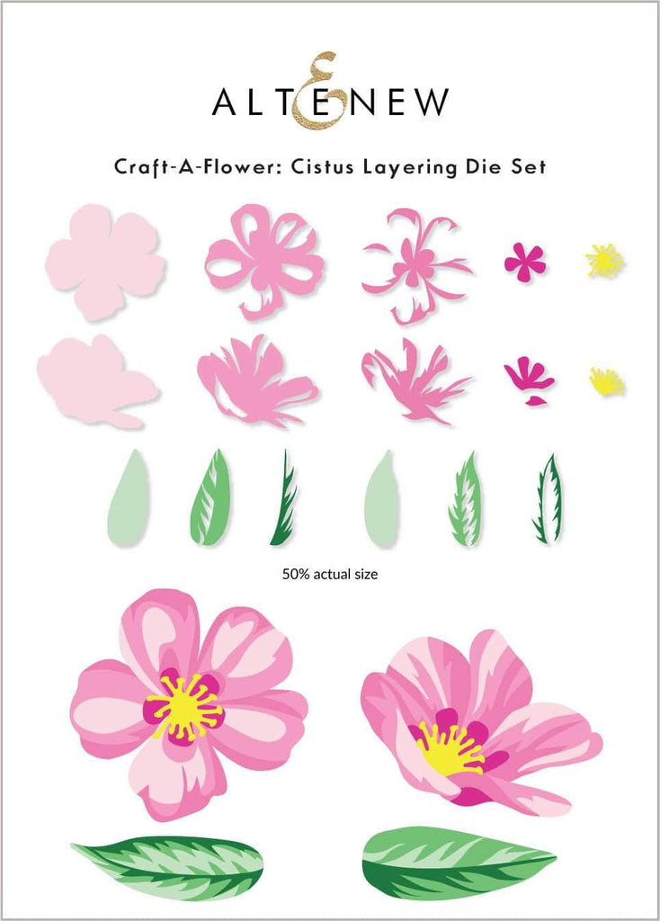 Craft-A-Flower : Ensemble de matrices de superposition de cistes