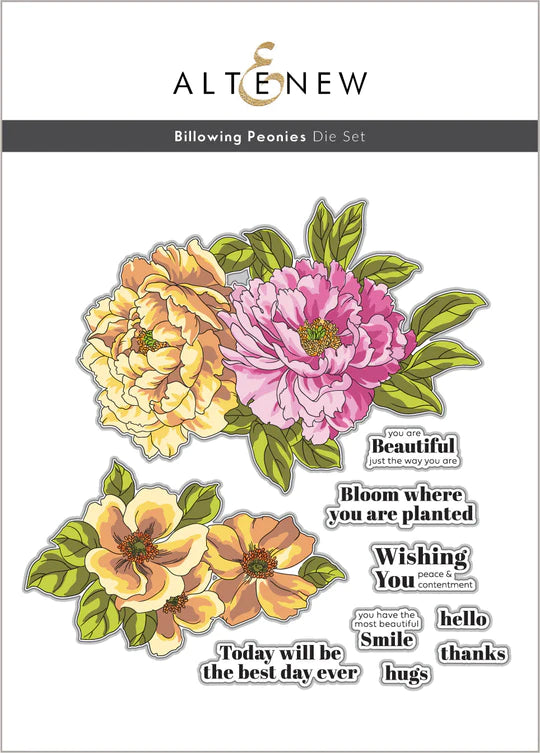 Ensemble de matrices de pivoines gonflées
