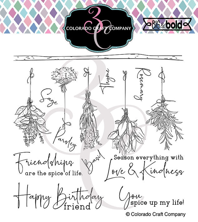 Big & Bold - Spice of Life 6x6 Clear Stamps*