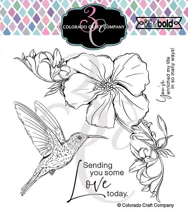 Big & Bold - Hibiscus Hummingbird*