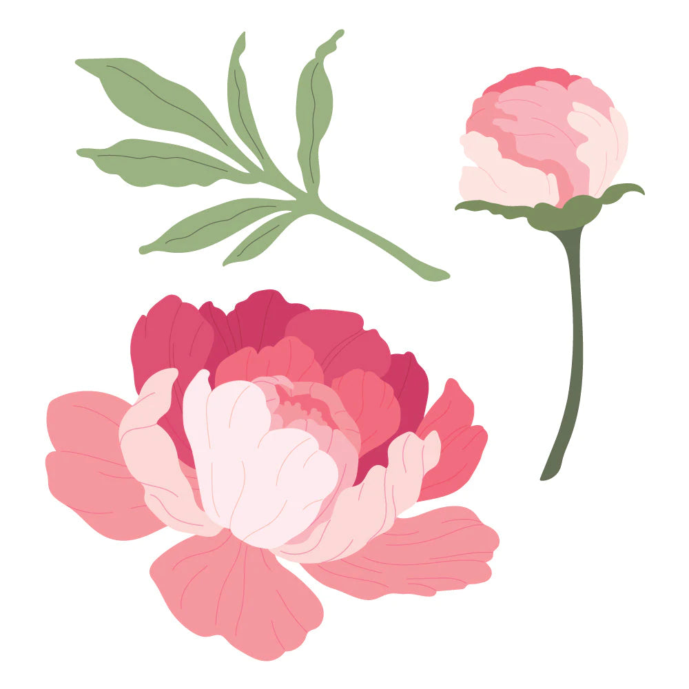 Belles couches : Pivoine | Matrices de coupe de miel