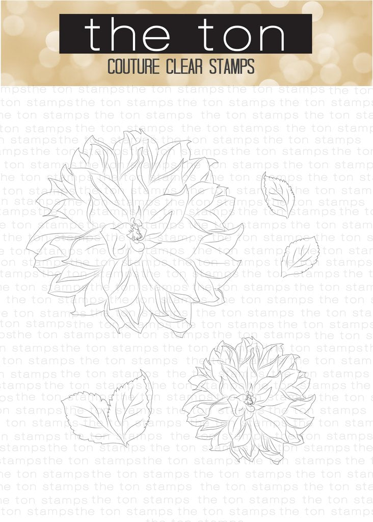 Grand Dahlia 1