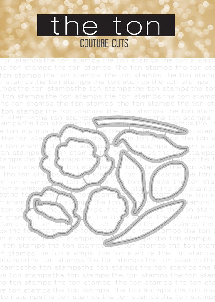 Matrices de coordination de tulipes en vrac