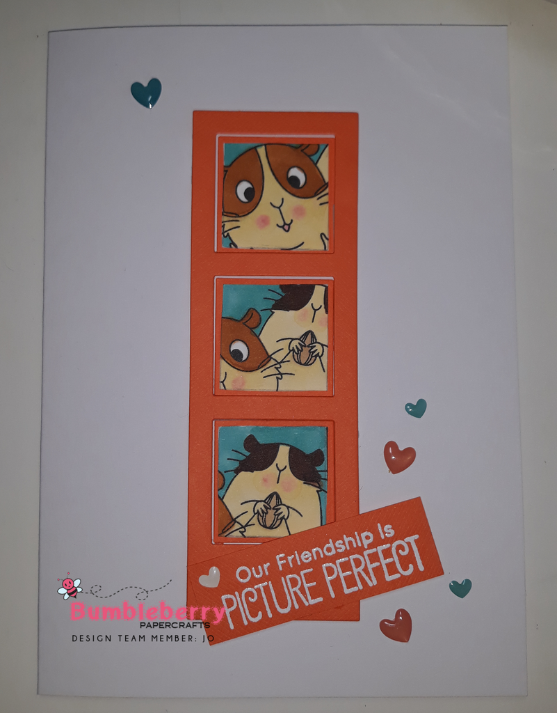 Picture Perfect Designs, from My Favourite Things Card 2 and 3 using Photo Strip Die............