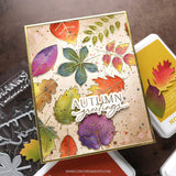 Thankful Leaves Dies