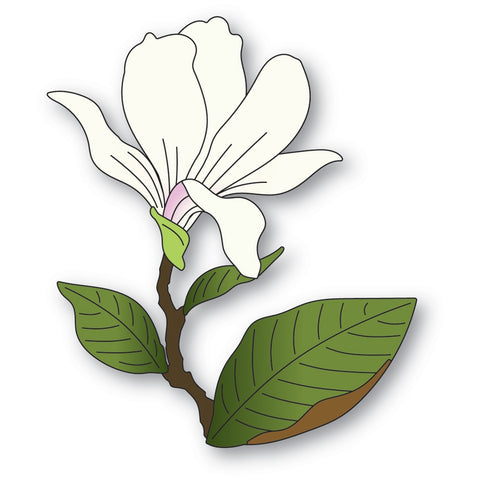Magnolia Blooming Bud
