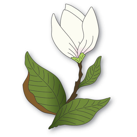 Tige florale de magnolia