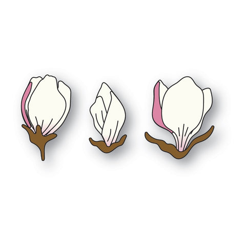 Trio de bourgeons de magnolia