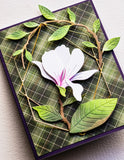 Paquet de 6x6 carreaux Magnolia