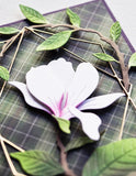 Bourgeon en fleurs de magnolia