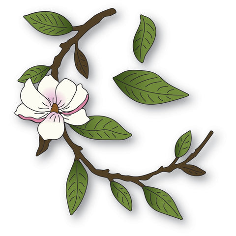 Branche de magnolia courbée