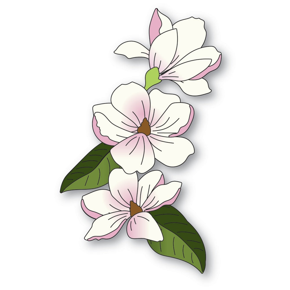 Trio de fleurs de magnolia