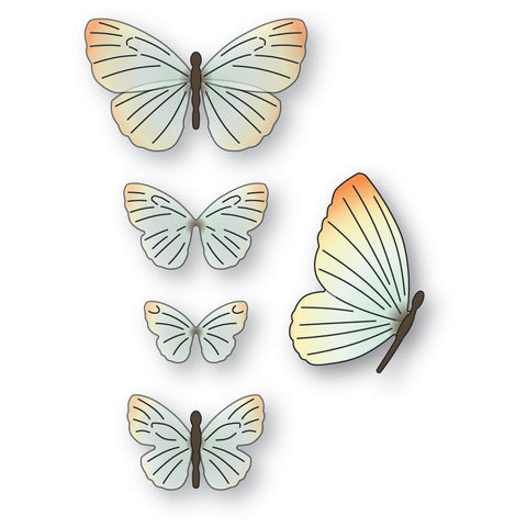 Exquisite Butterflies