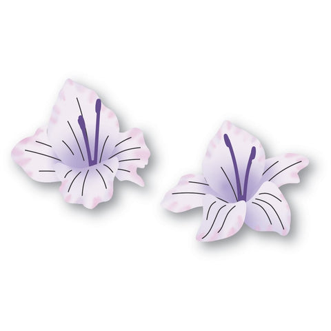 Gladiola Floral Duo
