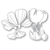 Graceful Peony Blossom