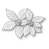 Brilliant Poinsettia