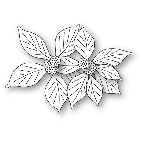 Brilliant Poinsettia