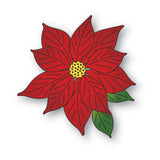 Brilliant Poinsettia