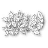 Blooming Poinsettias