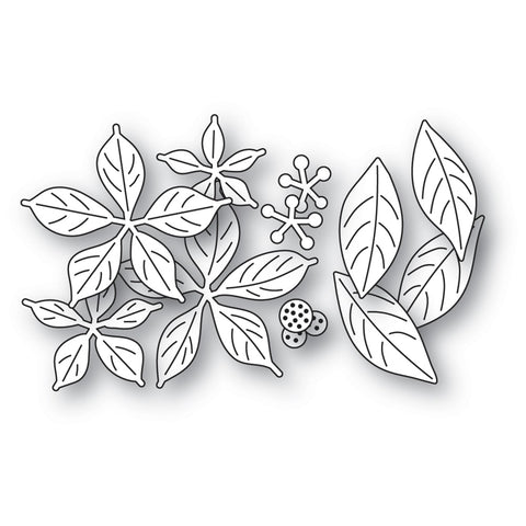 Blooming Poinsettias