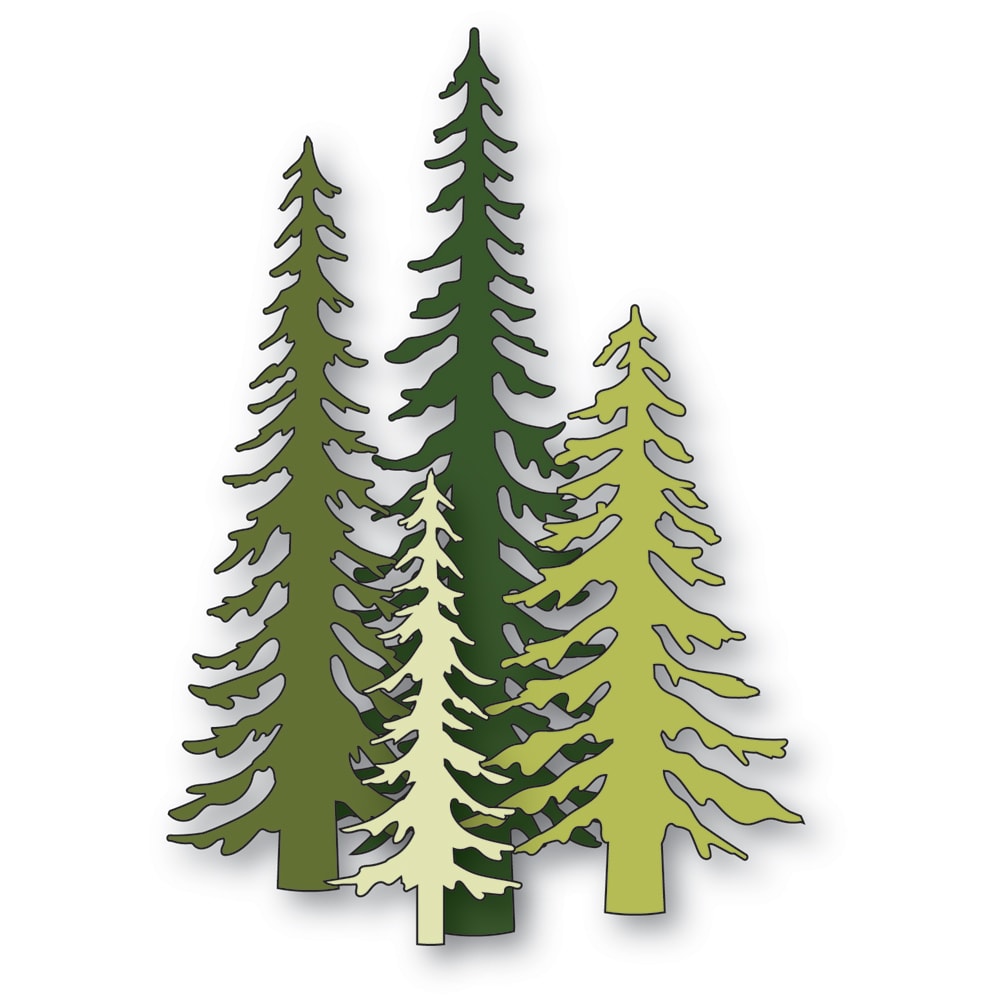 Tall Evergreen Trees