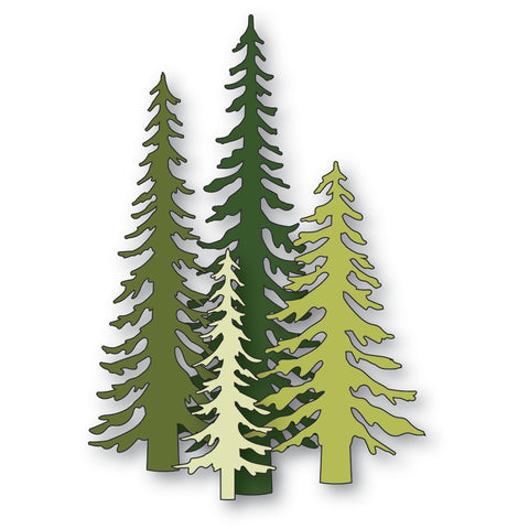 Tall Evergreen Trees