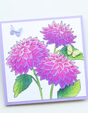 Brilliant Butterflies