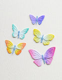Brilliant Butterflies